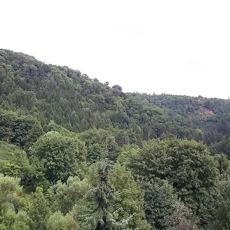 Ferienhaus Hexenhaus Am Hexenstieg Neuwerk (Saxony-Anhalt)